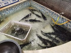 -锅老头铁锅炖•大锅蒸汽海鲜(韩乐坊店)