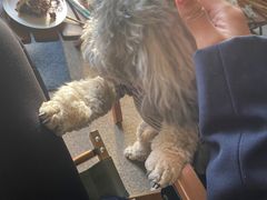 -TIPPI营地 房车主题·露营烧烤团建轰趴(天安假日店)