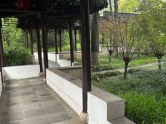 -梅园