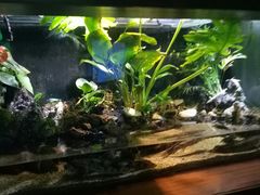 -太平洋海底世界