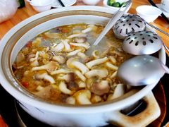 -15年老字号鑫鑫猪肚鸡·椰子鸡海南火锅(兴隆华侨农场店)