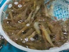 -王四营海鲜市场