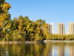 -森林公园(尖草坪区)