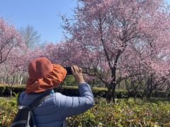 -白塘生态植物园