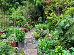 -谷咖啡·鲜花绿植花园餐厅