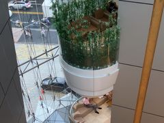 -上海明天广场JW万豪酒店