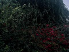 -府河摄影公园