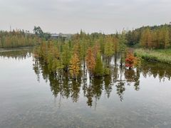 -白鹭湾湿地公园