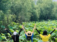 -长兴太湖图影湿地文化园
