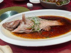 清蒸石斑鱼-正晴和酒店(黑龙江路店)