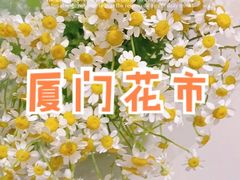 -溪岸路花鸟市场