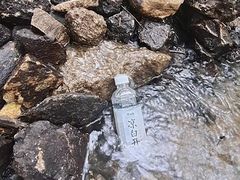-白水寺森林公园