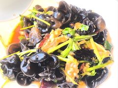 -洞庭家宴·头牌甲鱼(广渠门店)