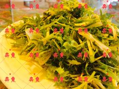苦苣-闯关东东北农家菜(崂山石老人店)