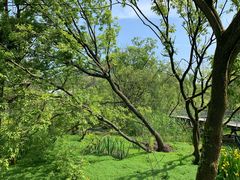 -西湖风景区-江洋畈生态公园