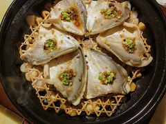 金吉鱼-西郊壹号