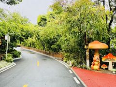 -广州市流溪河国家森林公园