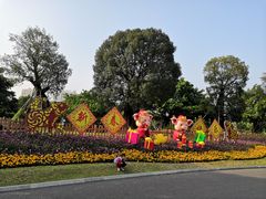 -南宁南湖公园