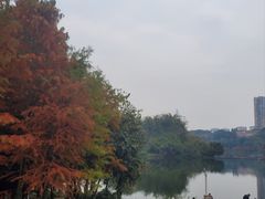 -重庆彩云湖湿地公园