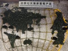 -青岛葡萄酒博物馆