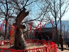 -红嫂家乡旅游区