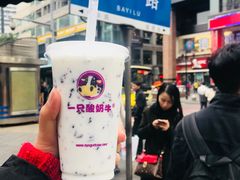 -一只酸奶牛(八一路店)