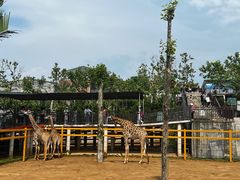 -西霞口神雕山野生动物世界