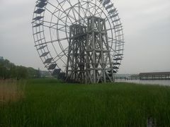 -太湖湖滨国家湿地公园-停车场