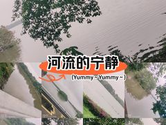 -海珠湖公园