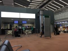 -西沃古尔·拉姆古兰爵士国际机场