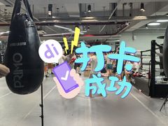 -花环泰拳·勒德斯拉泰拳馆(静安店)