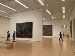 -旧金山现代艺术博物馆