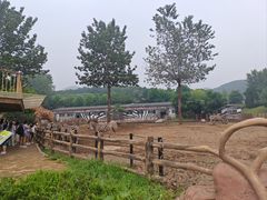 -大连森林动物园