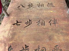 -黄山翡翠谷景区