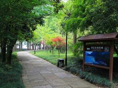 -五泄景区