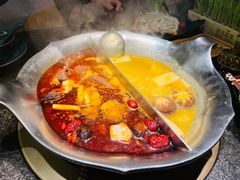 红颜花胶鸡锅-湊湊火锅·茶憩(打浦桥日月光店)