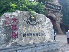 -大槐树寻根祭祖园