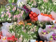 -循礼门鲜花花市(武汉循礼门店)