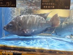 -盛记顺德高佬猪杂粥