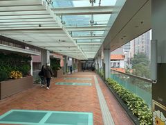 -香港大学