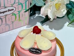 -哈根达斯(美罗城店)