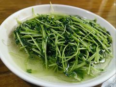 酒香豆苗-沈记菜馆(酒仙桥路店)