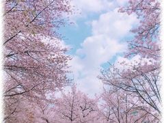 -海椰茶居(海印缤缤广场店)