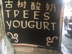 -古树酸奶(八廓南街店)