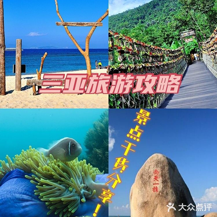 三亚亲子游‖干货分享