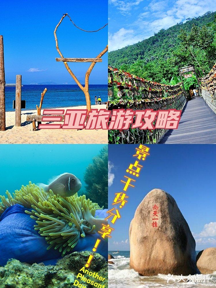 三亚亲子游‖干货分享