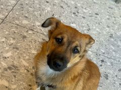 -百万叔(临湖店)