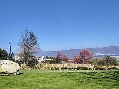 -云禾壹海景庄园餐厅