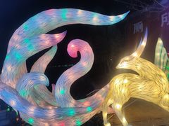 -淄博花灯齐彩城