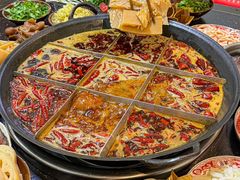 -肥龙火锅(南坪店)